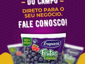 Mirtilo congelado opções nacional e importado embalagens 01 e 13,5 kg